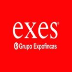 Franquicia EXES-grupo expofincas