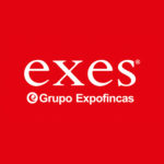 Franquicia Exes-Grupo Expofincas